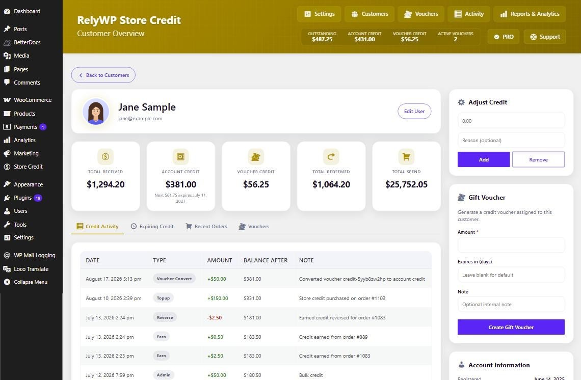 Customer overview with credit activity
